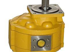 專(zhuān)業(yè)供應(yīng)山東裝載機(jī)齒輪油泵 青州市金星工程機(jī)械液壓件公司產(chǎn)品詳解